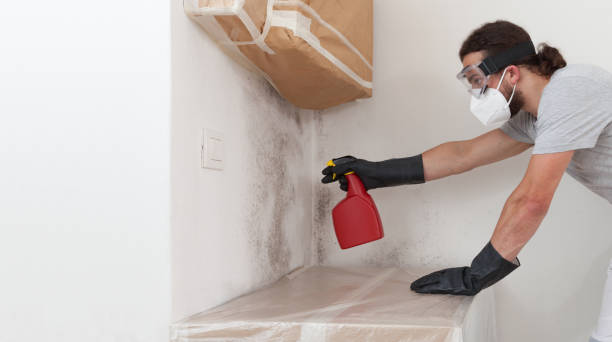 Professional Bathroom Mold Removal technician working in Windsor, NJ