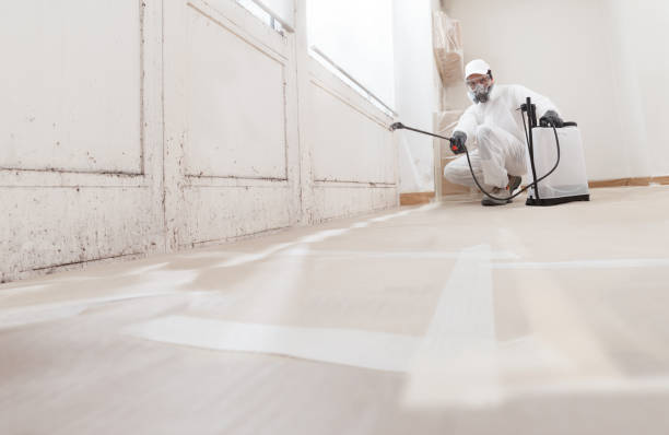 24/7 Emergency Bathroom Mold Removal experts in Windsor, NJ